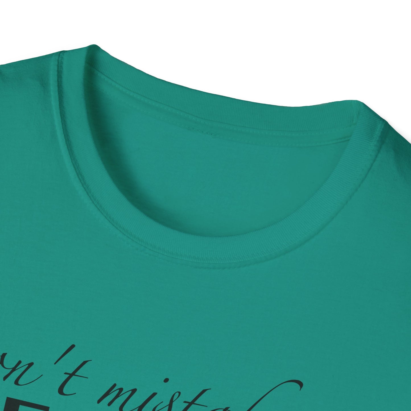 Healing Unisex Softstyle T-Shirt