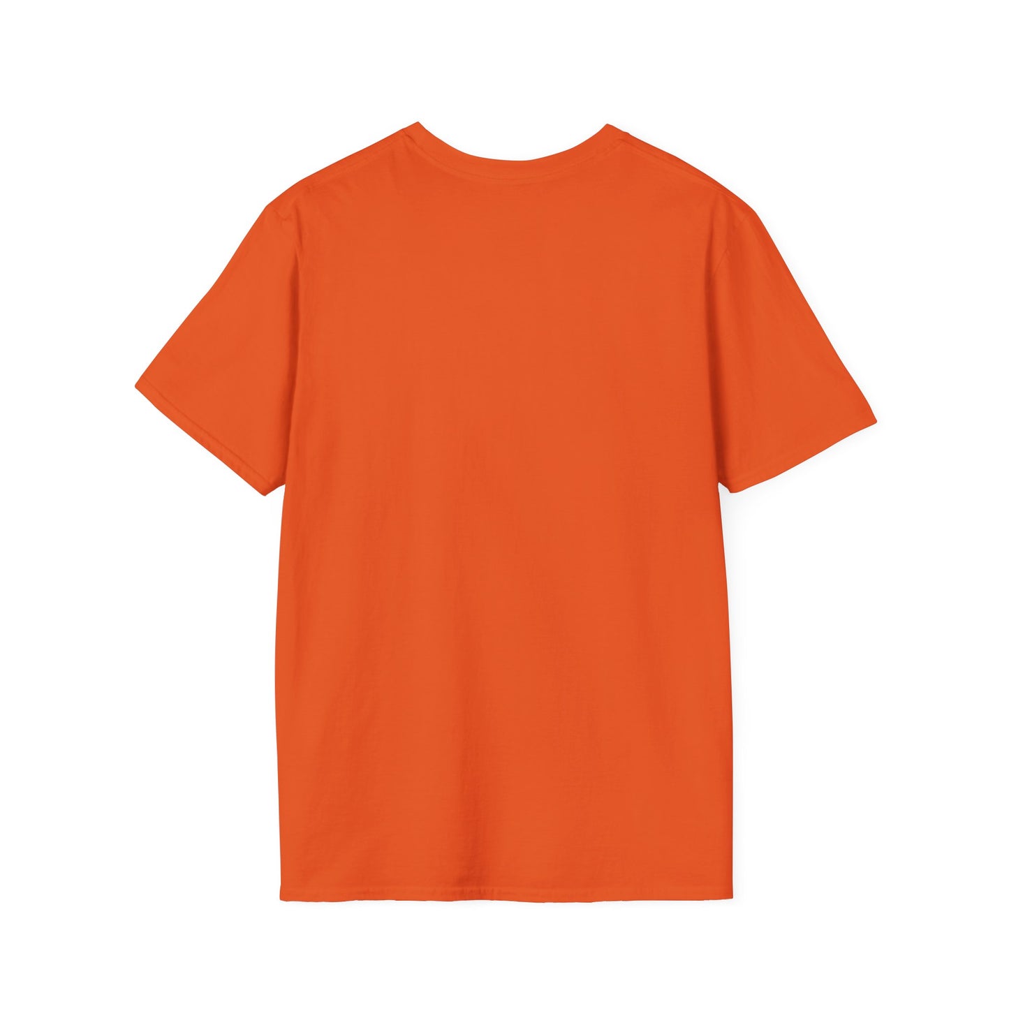 Healing Unisex Softstyle T-Shirt