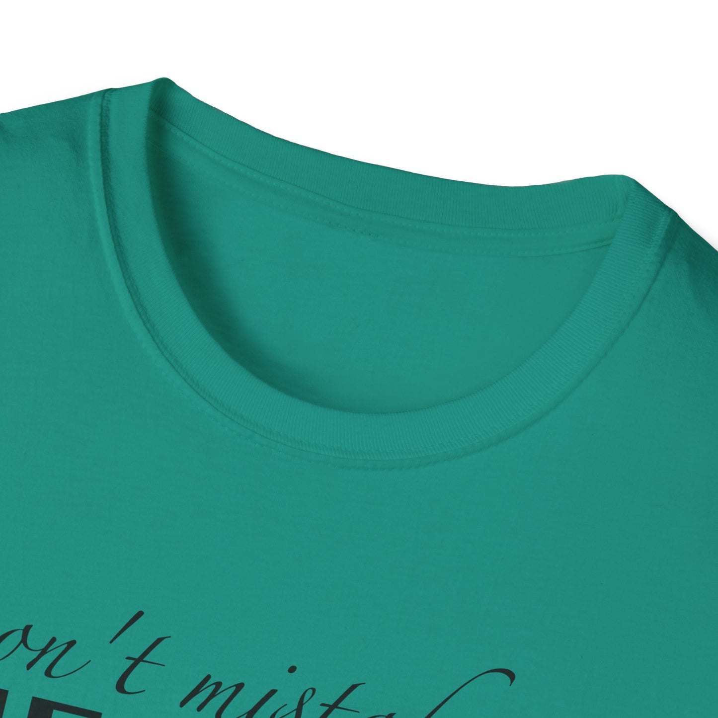 Healing Unisex Softstyle T-Shirt