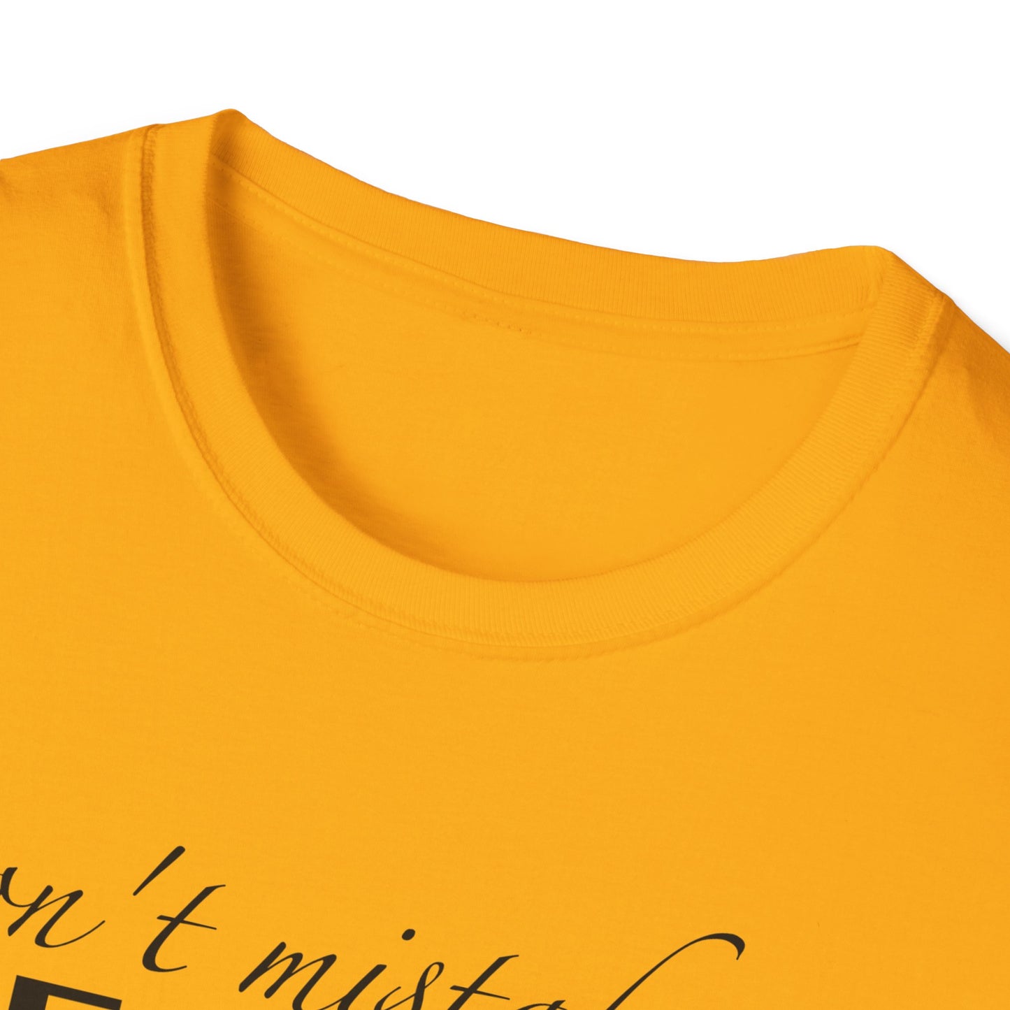Healing Unisex Softstyle T-Shirt