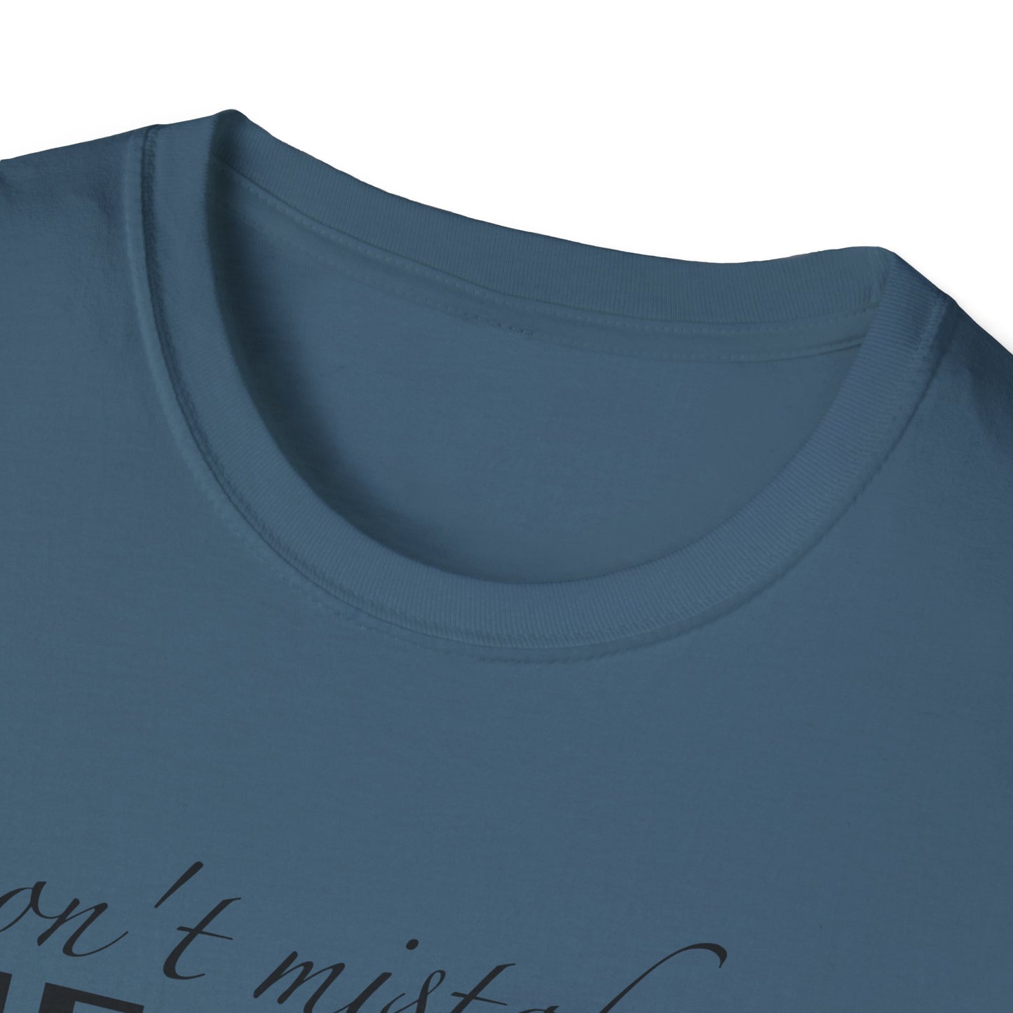 Healing Unisex Softstyle T-Shirt