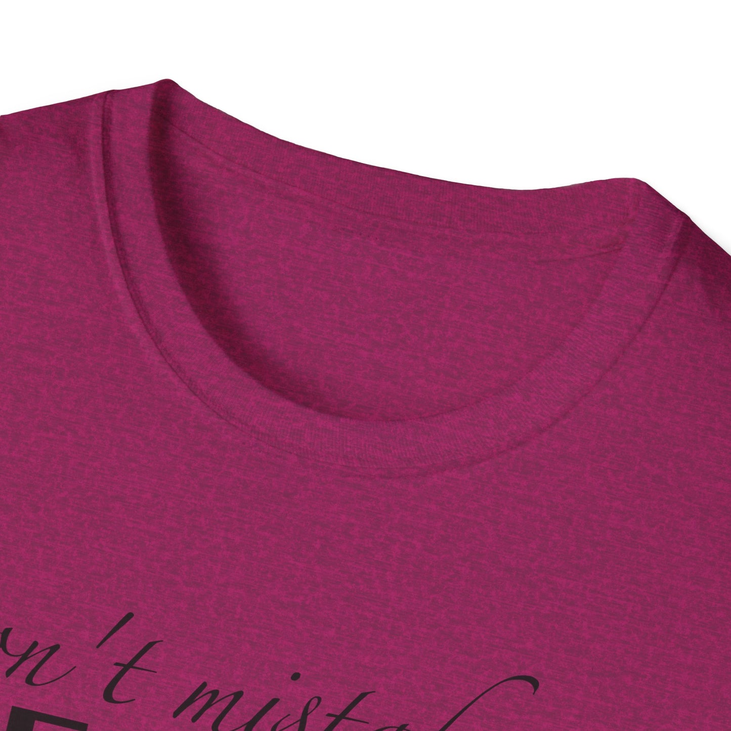Healing Unisex Softstyle T-Shirt
