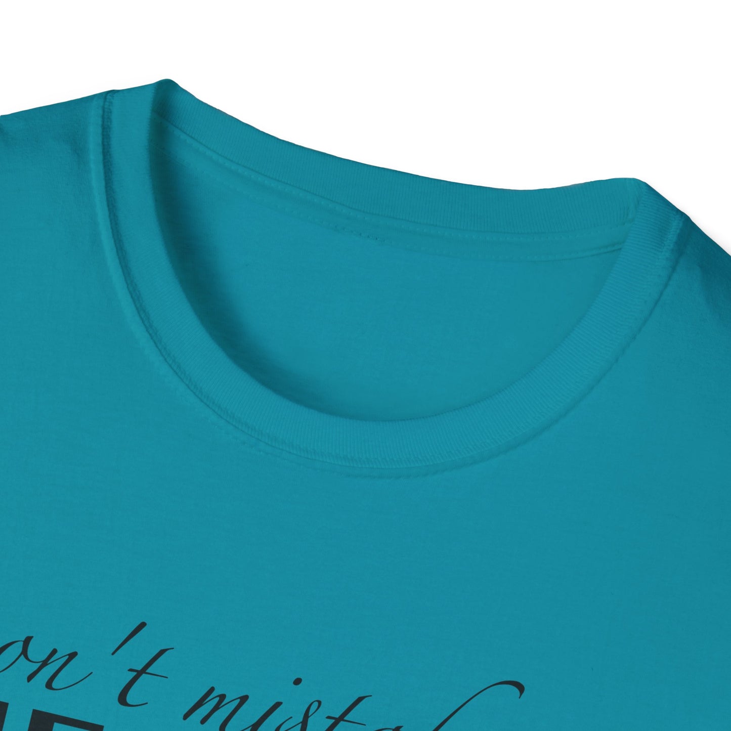 Healing Unisex Softstyle T-Shirt