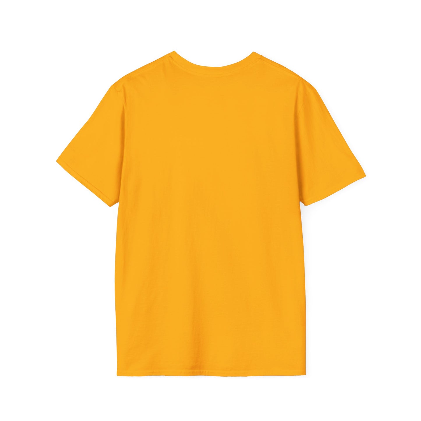 Healing Unisex Softstyle T-Shirt