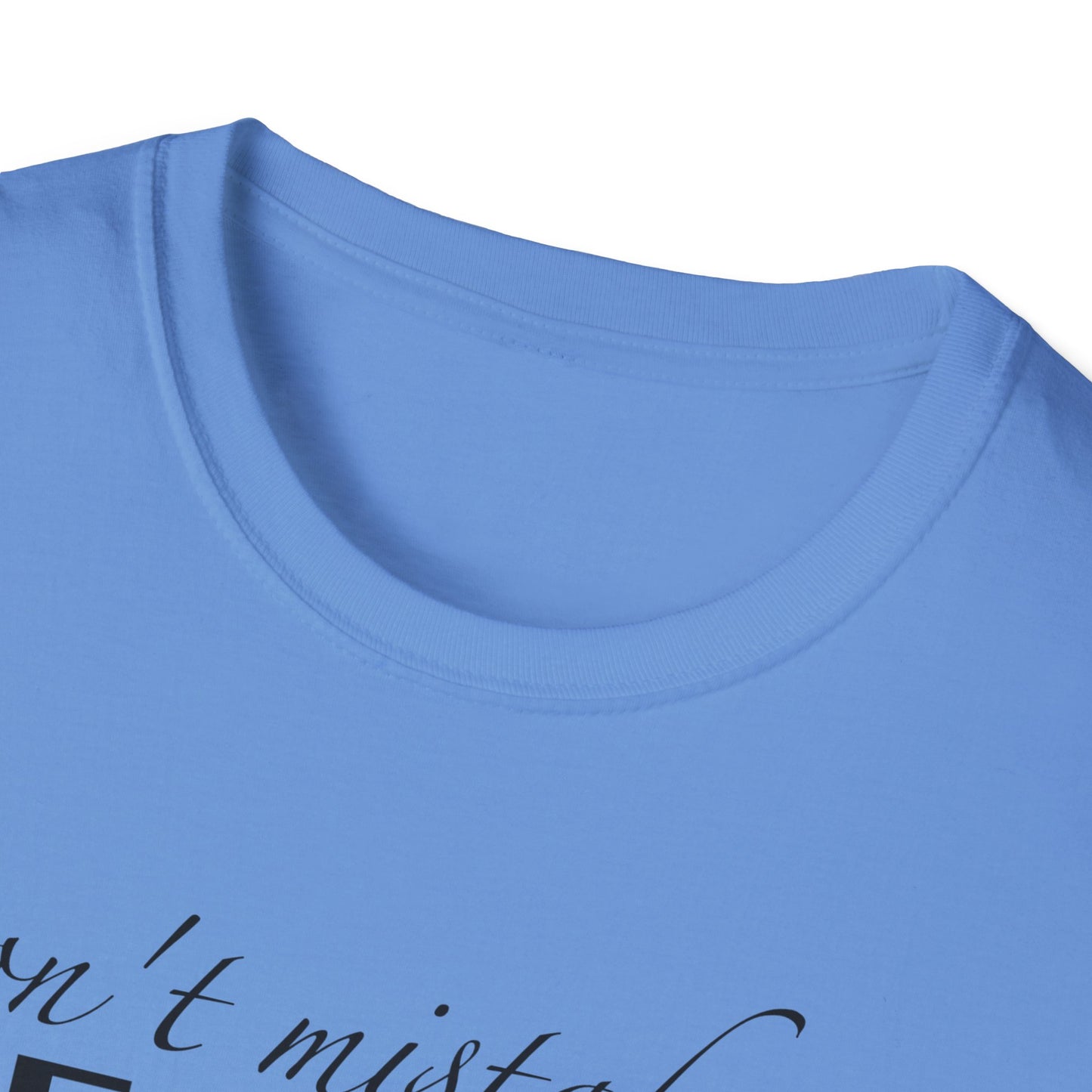 Healing Unisex Softstyle T-Shirt