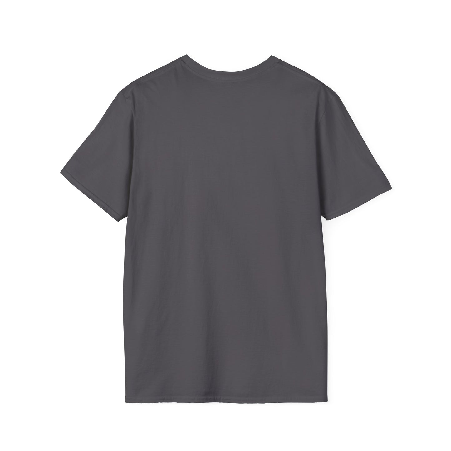 Healing Unisex Softstyle T-Shirt