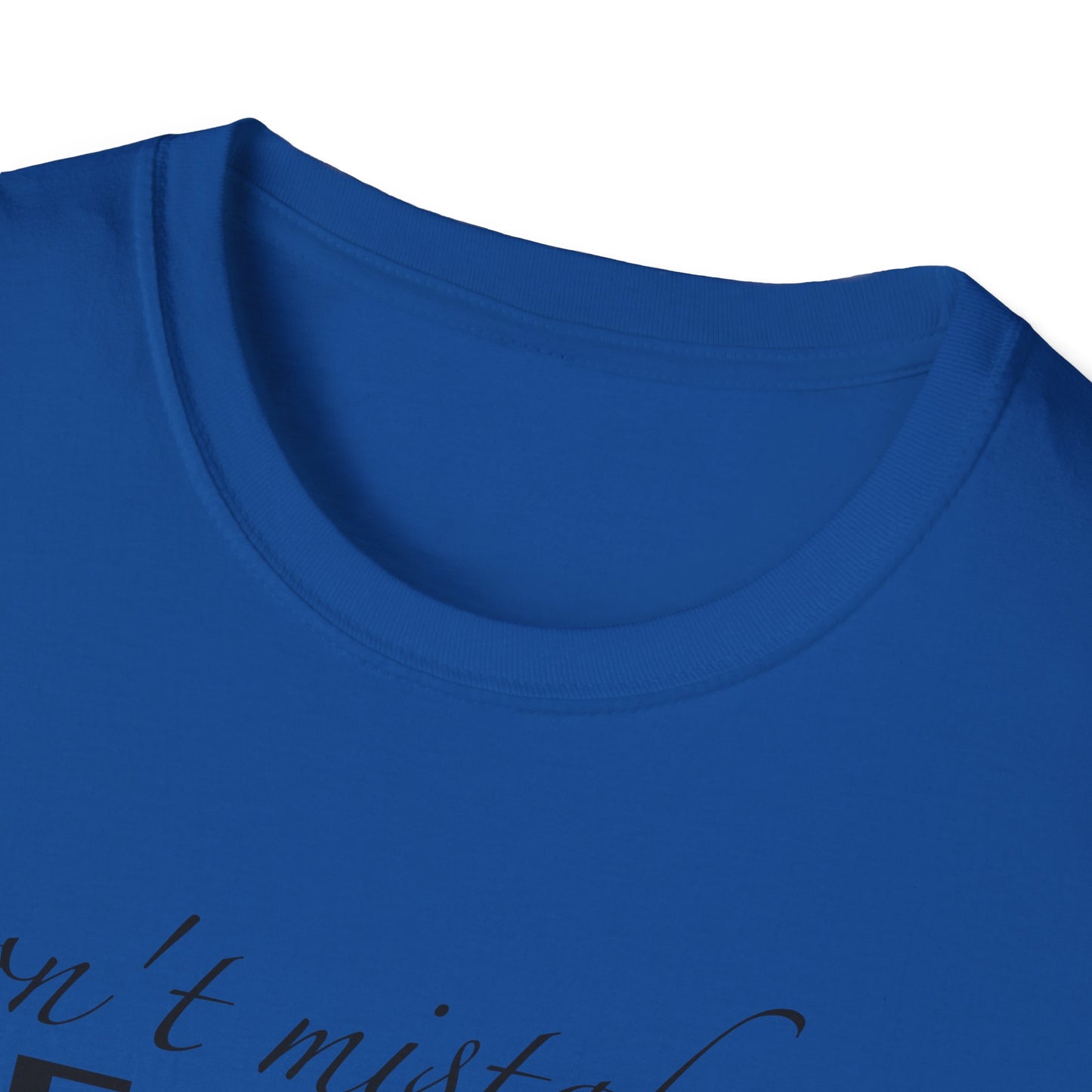 Healing Unisex Softstyle T-Shirt