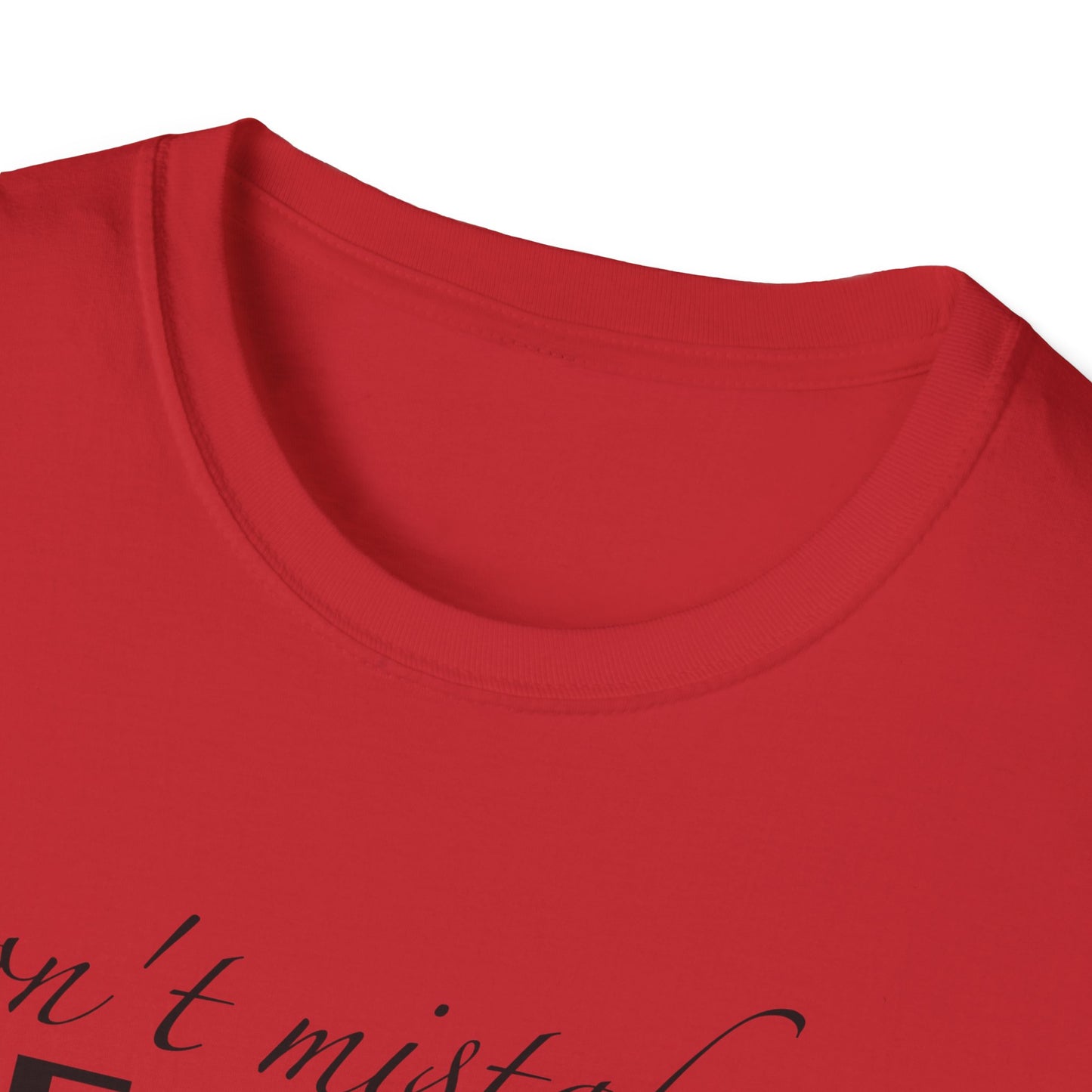 Healing Unisex Softstyle T-Shirt