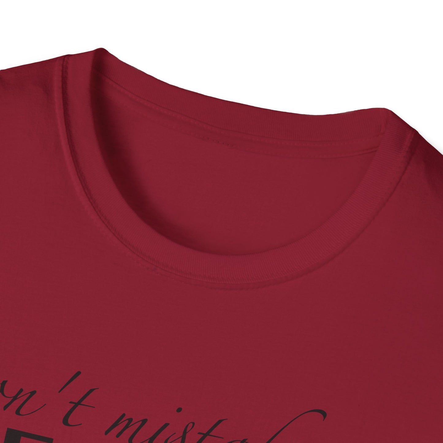 Healing Unisex Softstyle T-Shirt