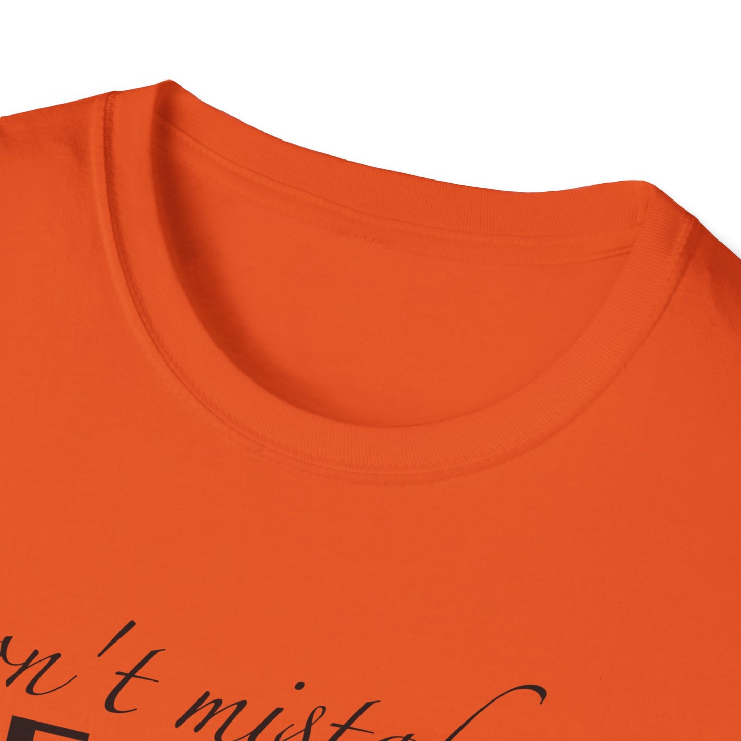 Healing Unisex Softstyle T-Shirt