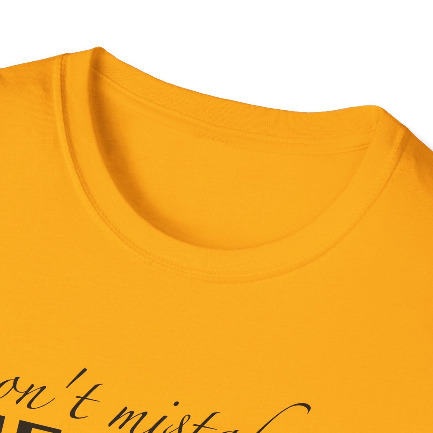 Healing Unisex Softstyle T-Shirt