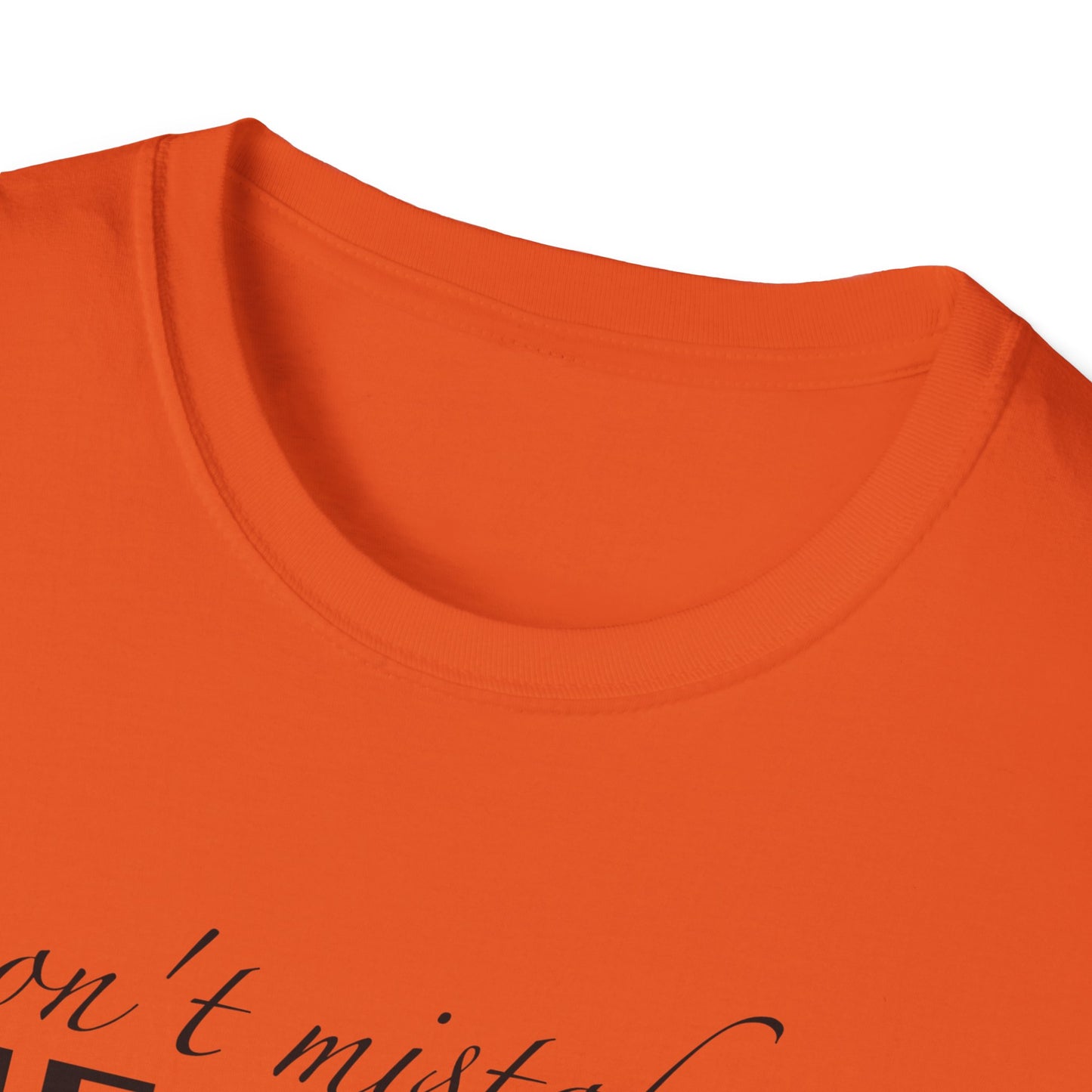Healing Unisex Softstyle T-Shirt